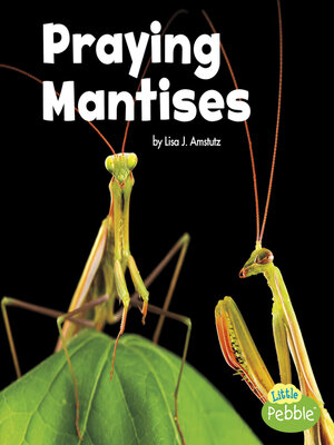 cover image of Praying Mantises